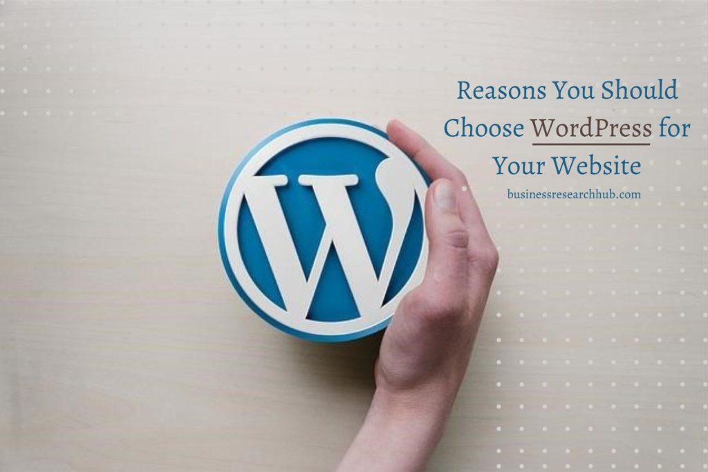 A person holding a WordPress logo, symbolizing why you should choose WordPress for your website