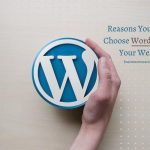 A person holding a WordPress logo, symbolizing why you should choose WordPress for your website