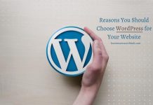 8 Reasons You Should Choose WordPress for Your Website A person holding a WordPress logo, symbolizing why you should choose WordPress for your website