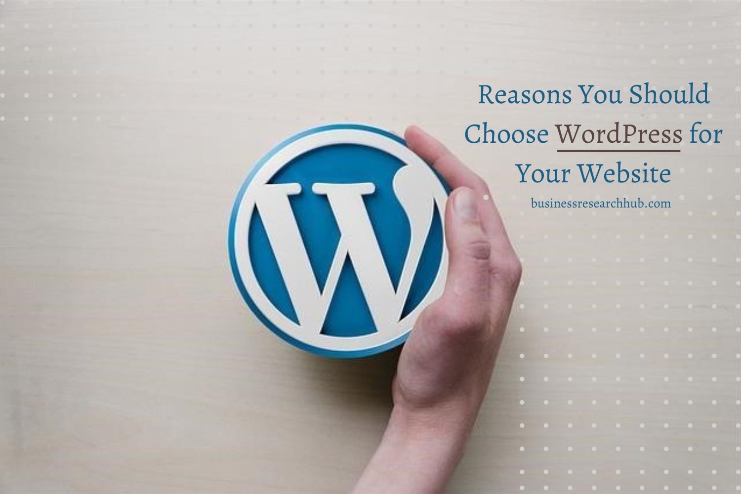 A person holding a WordPress logo, symbolizing why you should choose WordPress for your website