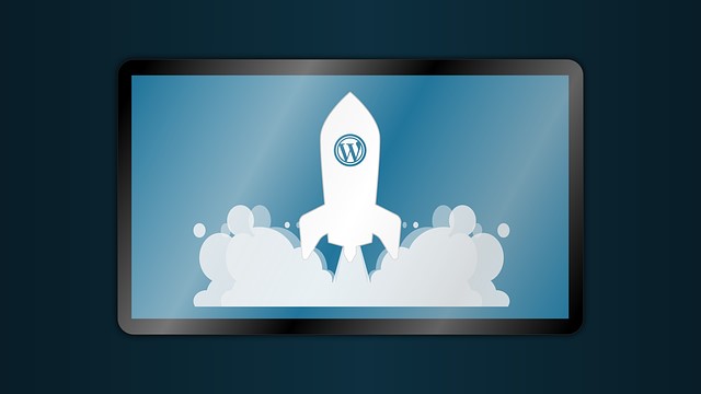 An illustration of a rocket with a WP logo.